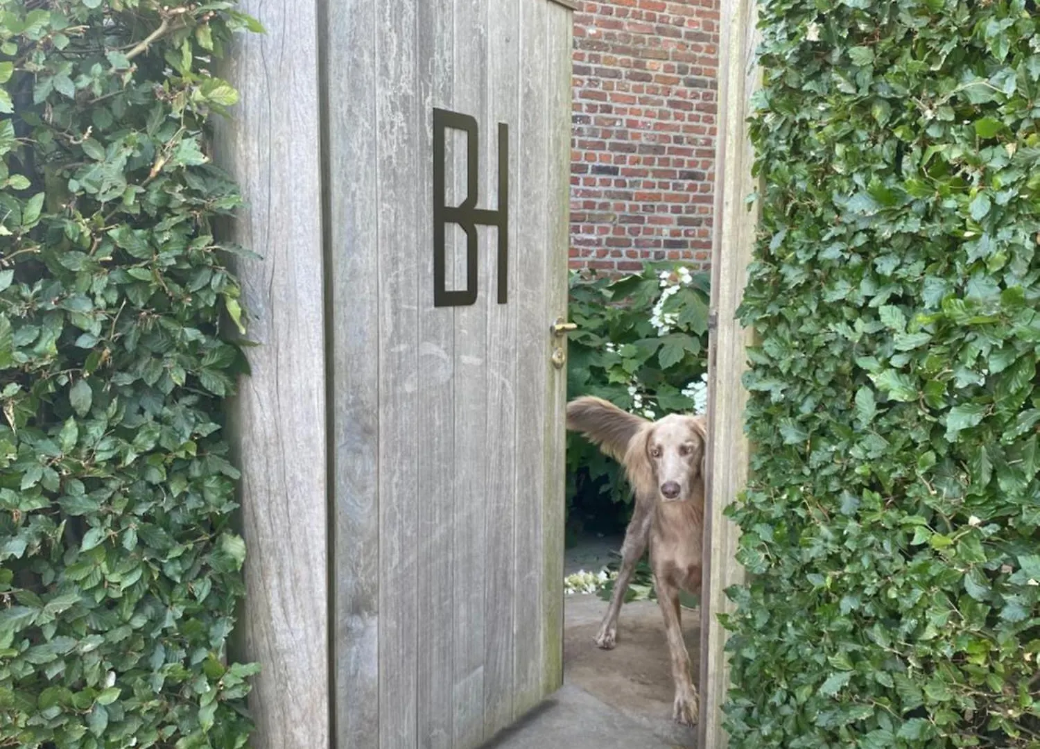 Bulsomhuys Hotel Kampenhout Belgium